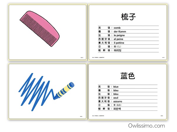 Shichida Flash Cards