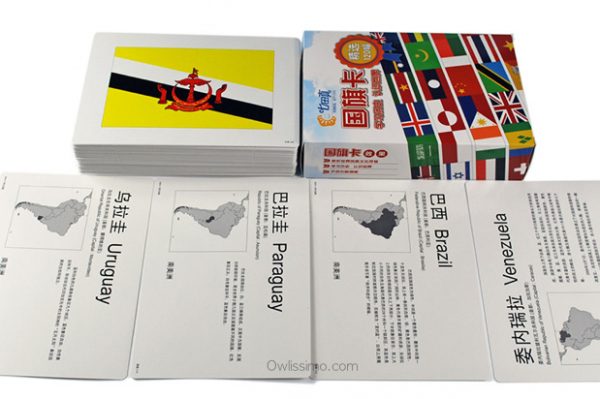 World Flags flash cards (back)