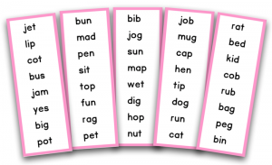 Printable Montessori Pink Reading Word Lists sample