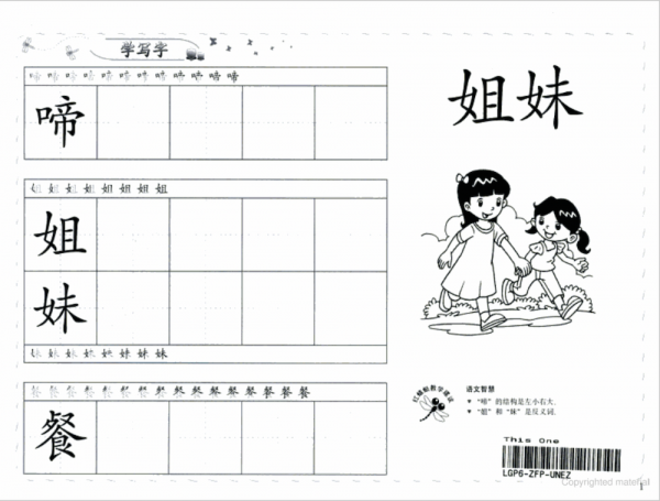 odonata chinese learn to write 500 4a-1