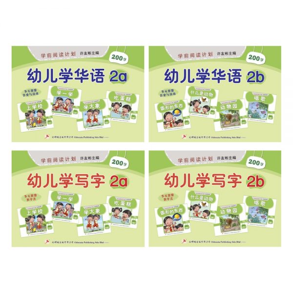 Odonata chinese workbooks learn mandarin write 2 cover