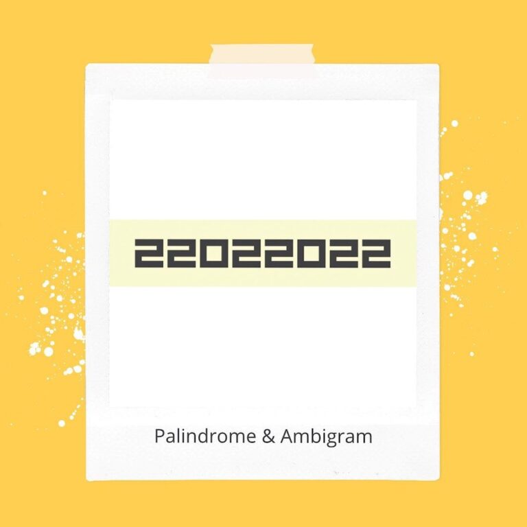 Math Palindrome And Ambigram Dates Owlissimo 4576