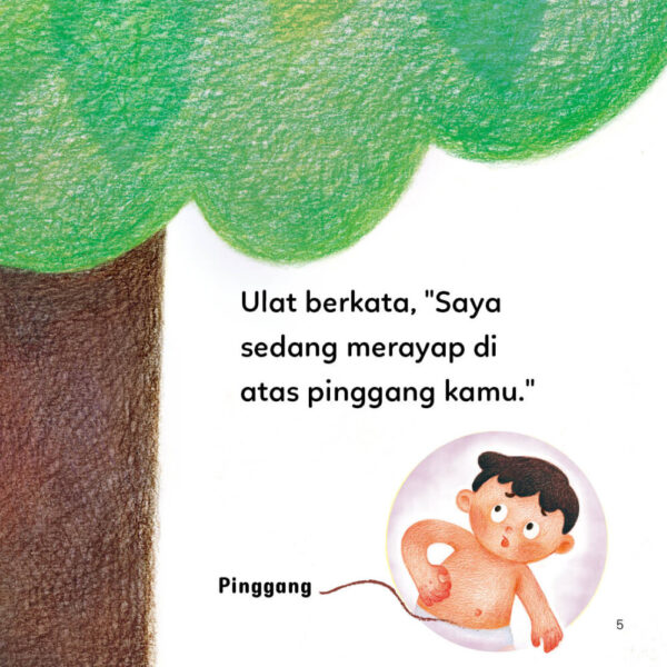 odonata toddler book 3 itchy itchy malay-4
